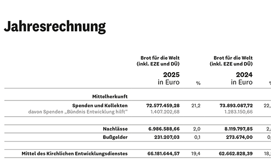 Einnahmen und Projektausgaben Einnahmen und Projektausgaben