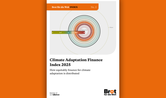 Anpassungsindex 2025 Anpassungsindex 2025