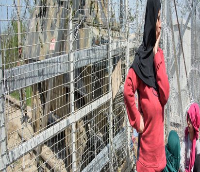 Frauen demonstrieren am Stacheldrahtzaun der griechisch-mazedonischen Grenze 