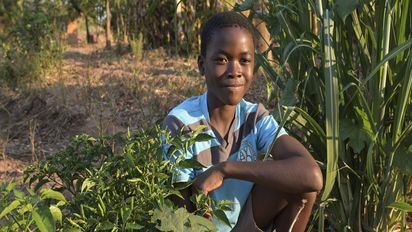 MALAWI, NGO Scope, Permakultur Projekt, Livingstonia, Mantchewe Schule 5. Klasse, zu Hause bei Chimwemwe Gama, 13 Jahre, Gemüsegarten mit Chillies