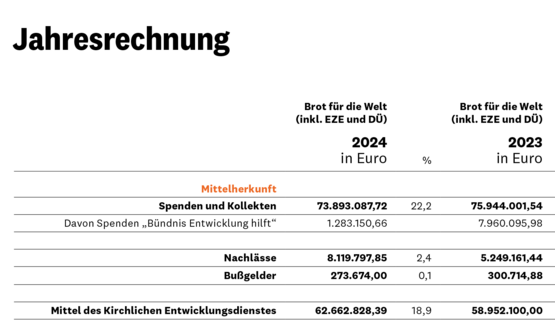 Einnahmen und Projektausgaben Einnahmen und Projektausgaben