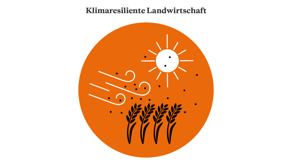 Illustration eines Getreidefelds über dem die Sonne scheint und der Wind fegt