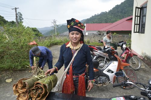 Zimtabbau mit Ton Hoang Thi