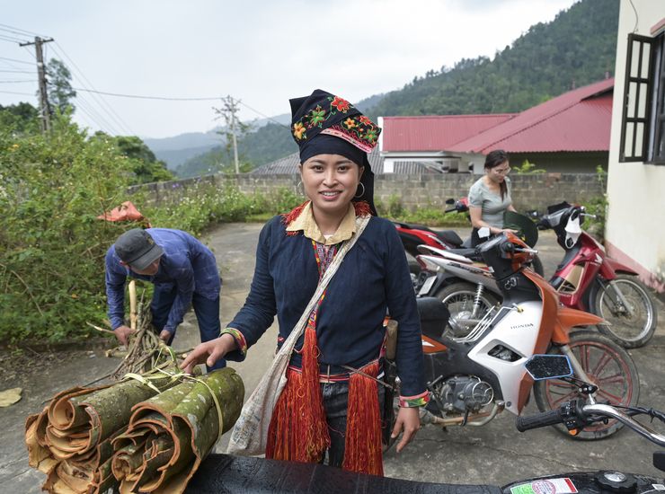 Zimtabbau mit Ton Hoang Thi