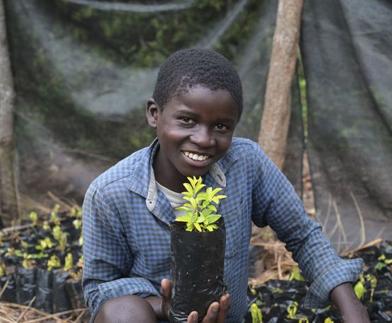 Lwatizi Schule, Schüler des Permakultur Klub, Statement Courage Harawa, 12 Jahre, in der Baumschule an seiner Schule.Projektpartner: Schools and Colleges Permaculture Programmes - SCOPE