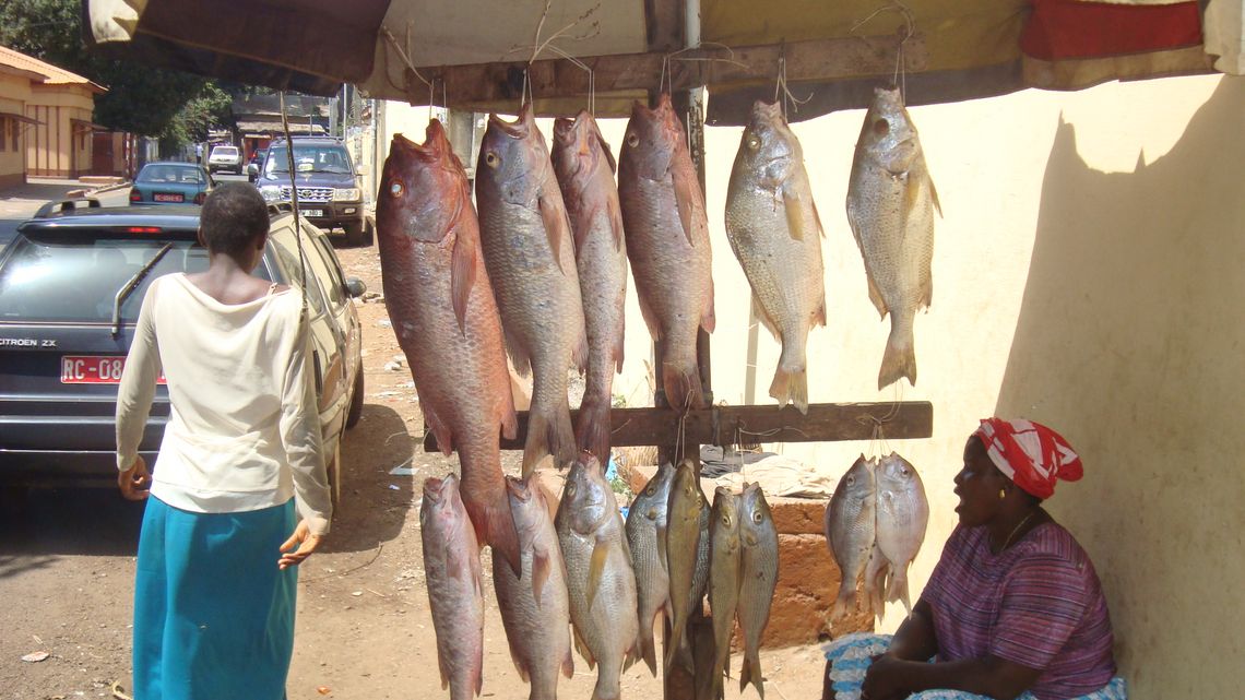 Fischverkäuferin Conakry / Guinea