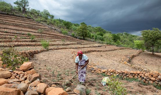 Umwelt schützen, Klimawandel bekämpfen