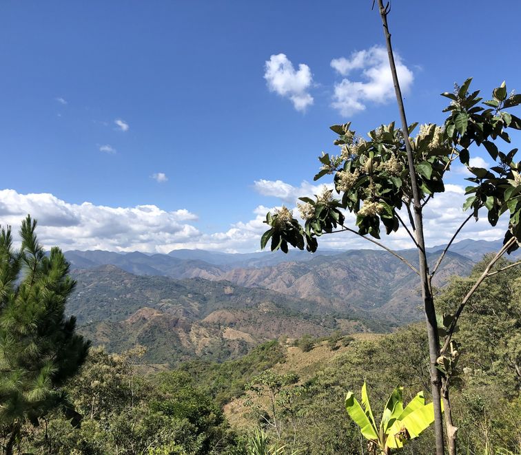 Landschaft in Costa Rica