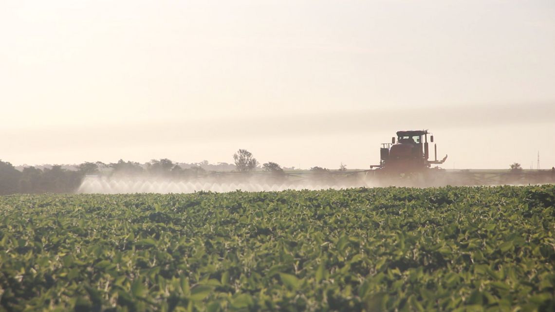 Kleinbäuerliche Landwirtschaft geht unter