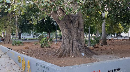 Ecke der Entkolonialisierung in Havanna