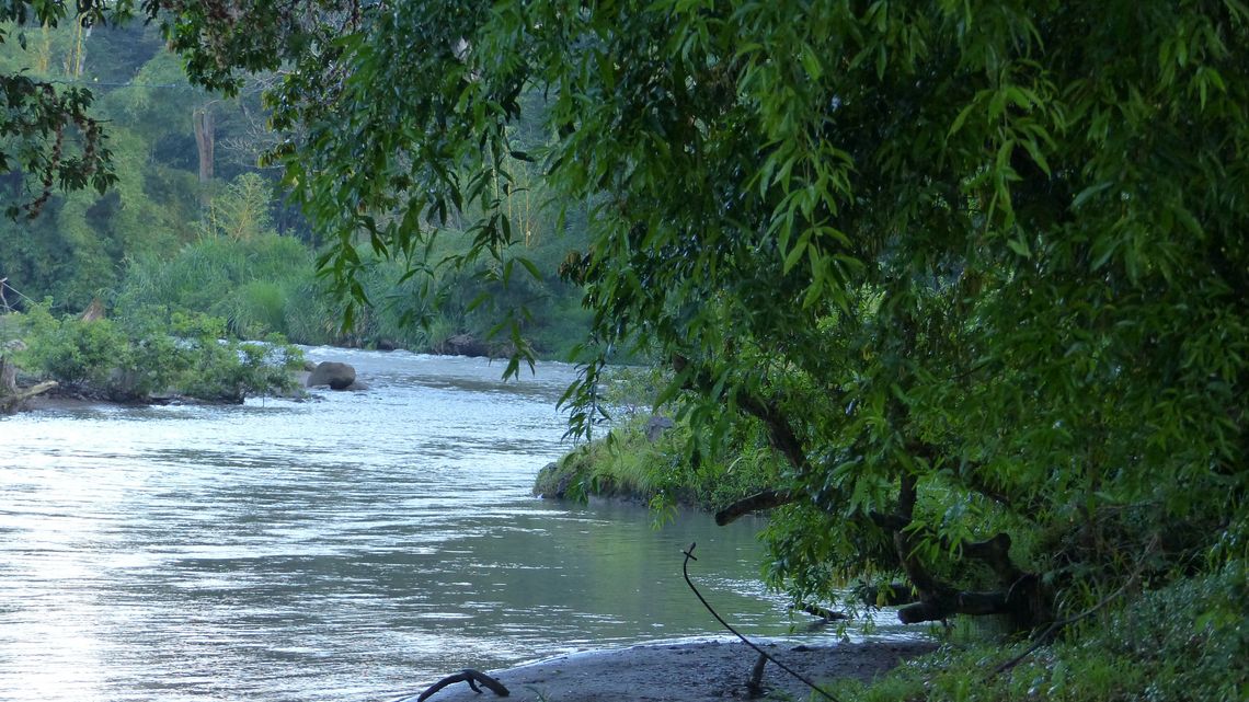 Nach der Arbeit fahre ich oft mit dem Fahrrad zu den nahegelegenen Flüssen