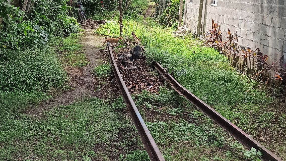 Die Bahnstrecken in El Salvador sind stillgelegt. Auch in der Nähe des alten Bahnhofs von Acajutla führen die Schienen ins Leere.