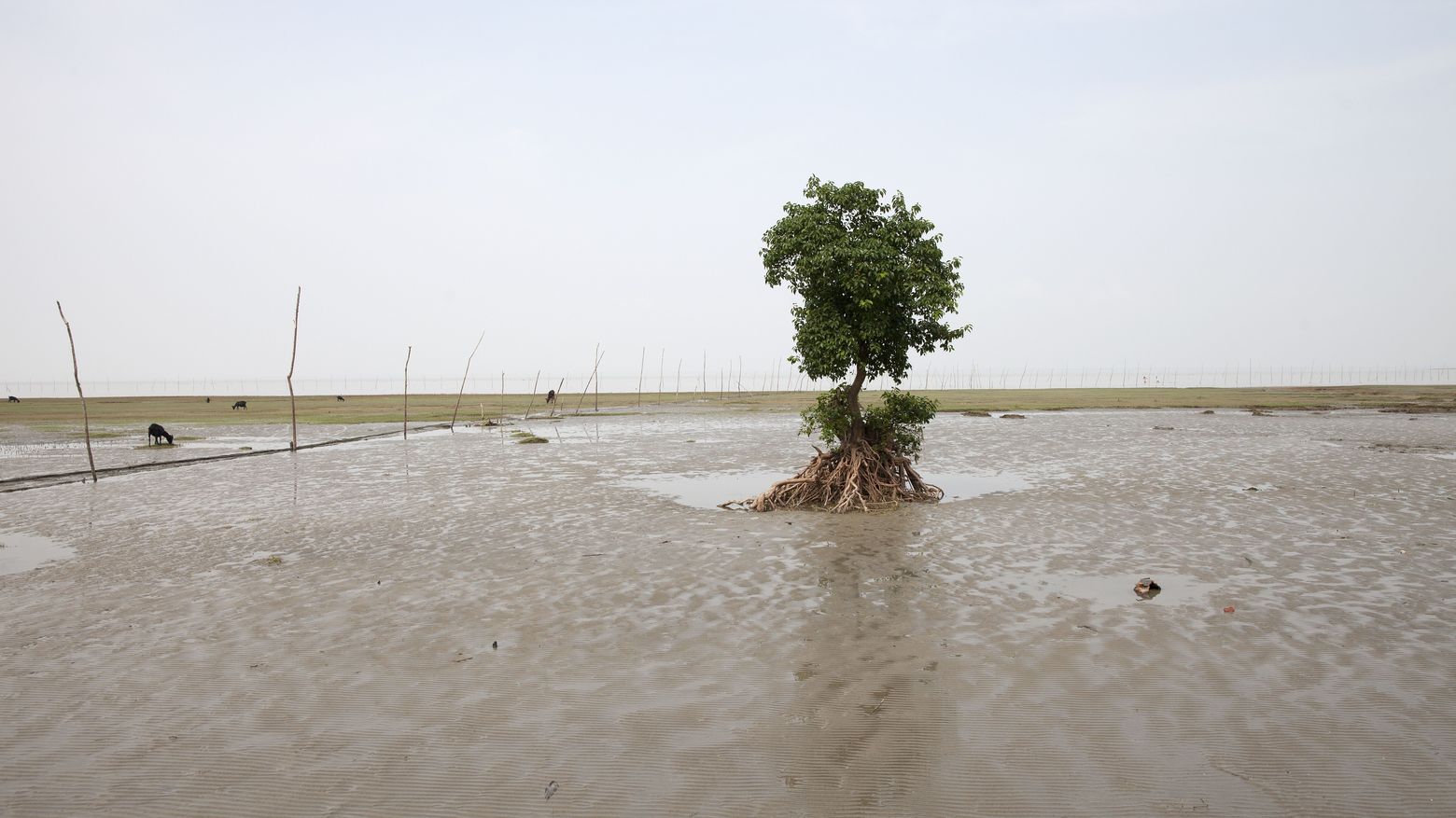 Flusslandschaft in Bangladesch