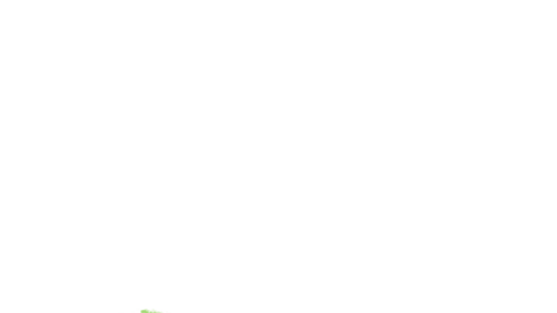 Climate Action Summit 2020