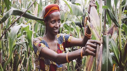 Kleinbaeuerin Claudine Hashazinyange (26) bei der Maisernte.Sie ist eine Teilnehmerin des Programmes von „Ripple Effekt“. Die Brot und die Welt-Partnerorganisation foerdert unter anderem nachhaltige landwirtschaftliche Entwicklung, Ernaehrungssicherung, Armutsbekaempfung und Gleichstellung der Geschlechter.