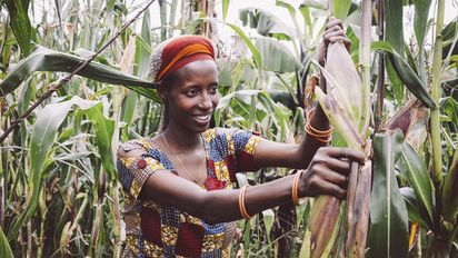 Kleinbaeuerin Claudine Hashazinyange (26) bei der Maisernte.Sie ist eine Teilnehmerin des Programmes von „Ripple Effekt“. Die Brot und die Welt-Partnerorganisation foerdert unter anderem nachhaltige landwirtschaftliche Entwicklung, Ernaehrungssicherung, Armutsbekaempfung und Gleichstellung der Geschlechter.