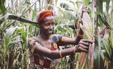 Kleinbaeuerin Claudine Hashazinyange (26) bei der Maisernte.Sie ist eine Teilnehmerin des Programmes von „Ripple Effekt“. Die Brot und die Welt-Partnerorganisation foerdert unter anderem nachhaltige landwirtschaftliche Entwicklung, Ernaehrungssicherung, Armutsbekaempfung und Gleichstellung der Geschlechter.