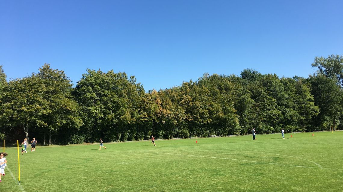 Blick auf den Sportplatz mit Läufern