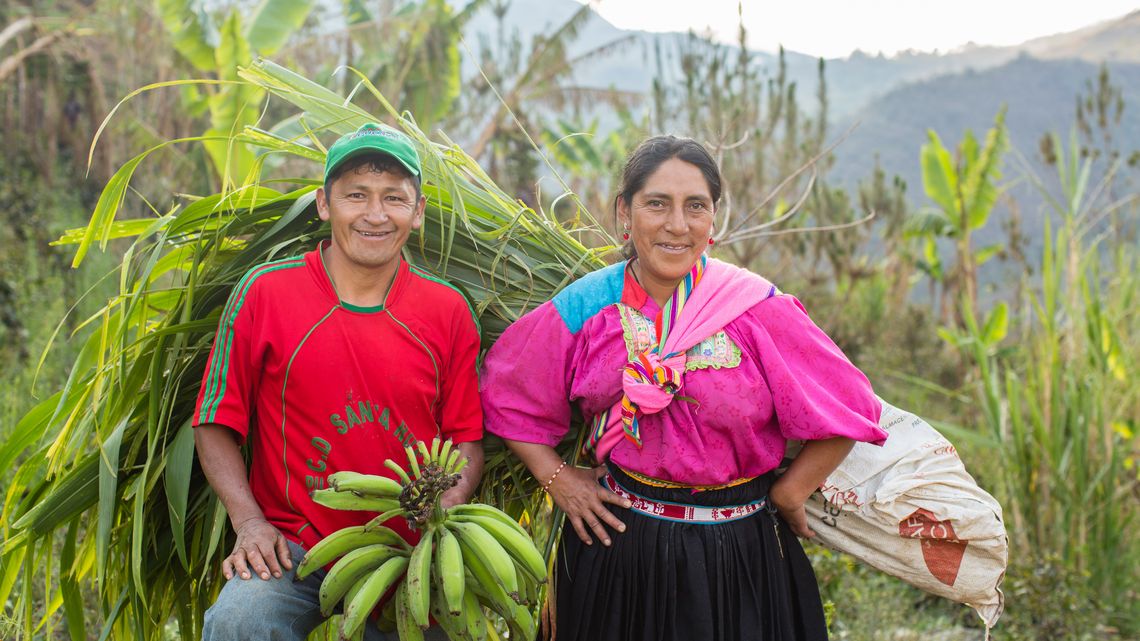 Der Anbau von Obst und Gemüse ermöglicht Kleinbauernfamilien in Peru eine gesündere Ernährung.