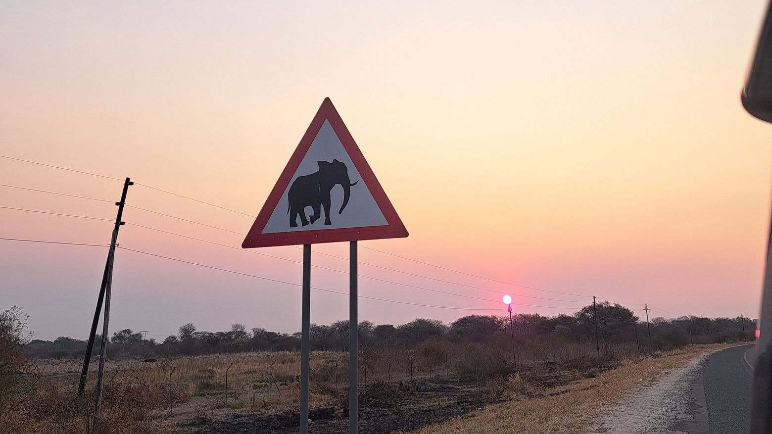 Vorsicht Elefanten!-Warnschild in Namibia 