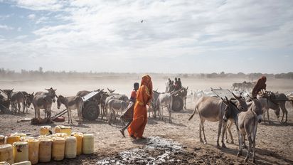 In der Nähe von Lanqoot im Nordosten Kenias füllen Frauen und Kinder ihre Wasserkanister an einer Wasserstelle auf. Die Region hat ein trockenes Klima und einen chronischen Mangel an natürlichen Ressourcen. Der Klimawandel führt zu immer häufigeren Dürren und unvorhersehbaren Niederschlägen.