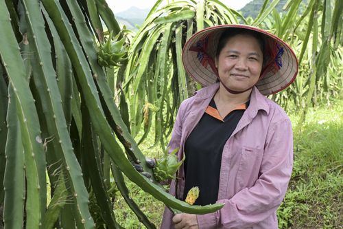 Projektbegünstigte in Vietnam