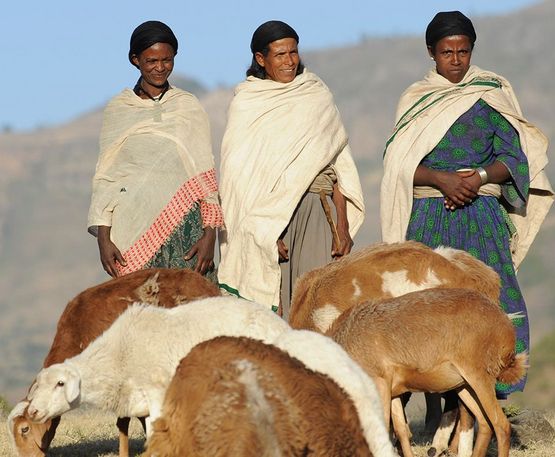 Nach Dürren und Überschwemmungen schöpfen Frauen in Äthiopien Hoffnung.