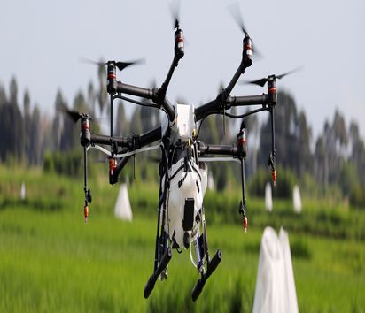Drohne die über ein grünes Reisfeld fliegt