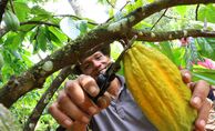 Bio-Kakao macht glücklich