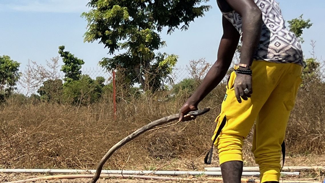 Feldarbeit in Kadiogo/ Burkina Faso