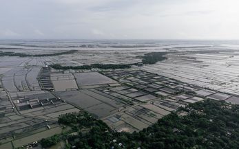 Koalitionsverhandlungen 2025: Entwicklungspolitische Impulse von Brot für die Welt