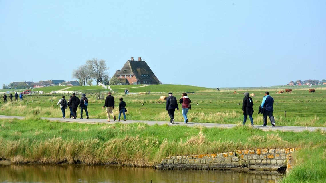 Ankunft auf der Hallig Hooge