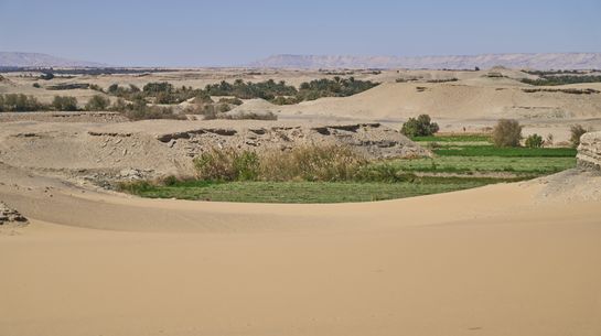 Das Ökosystem der Dachla-Oase im Südwesten Ägyptens leidet stark unter der Klimakrise