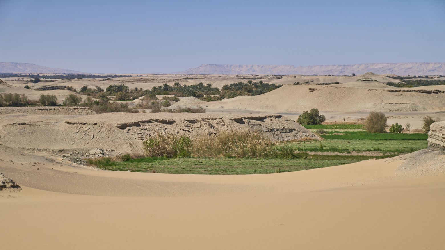 Das Ökosystem der Dachla-Oase im Südwesten Ägyptens leidet stark unter der Klimakrise