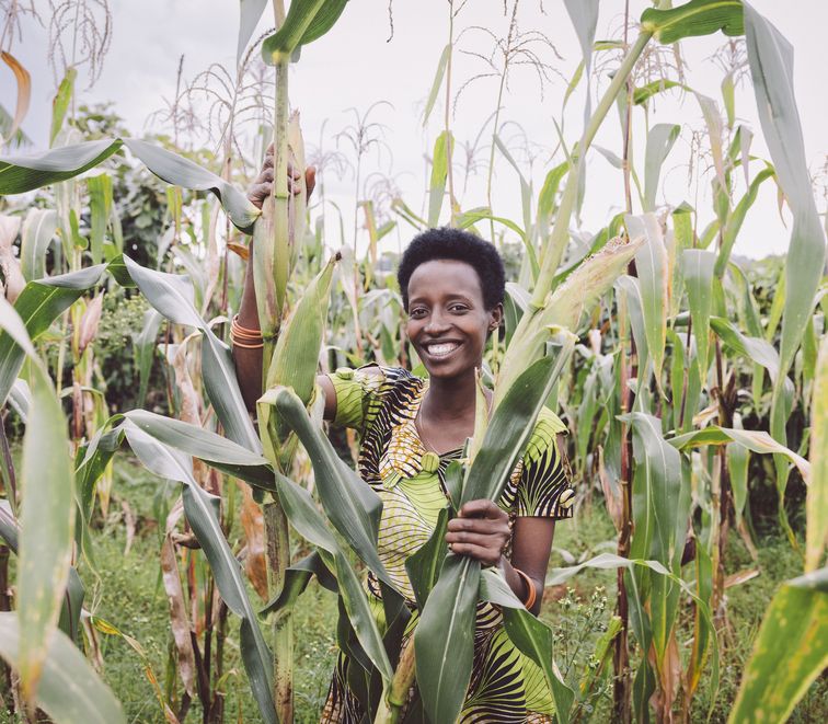 Kleinbaeuerin Claudine Hashazinyange (26) bei der Maisernte.Sie ist eine Teilnehmerin des Programmes von „Ripple Effekt“. Die Brot und die Welt-Partnerorganisation foerdert unter anderem nachhaltige landwirtschaftliche Entwicklung, Ernaehrungssicherung, Armutsbekaempfung und Gleichstellung der Geschlechter.