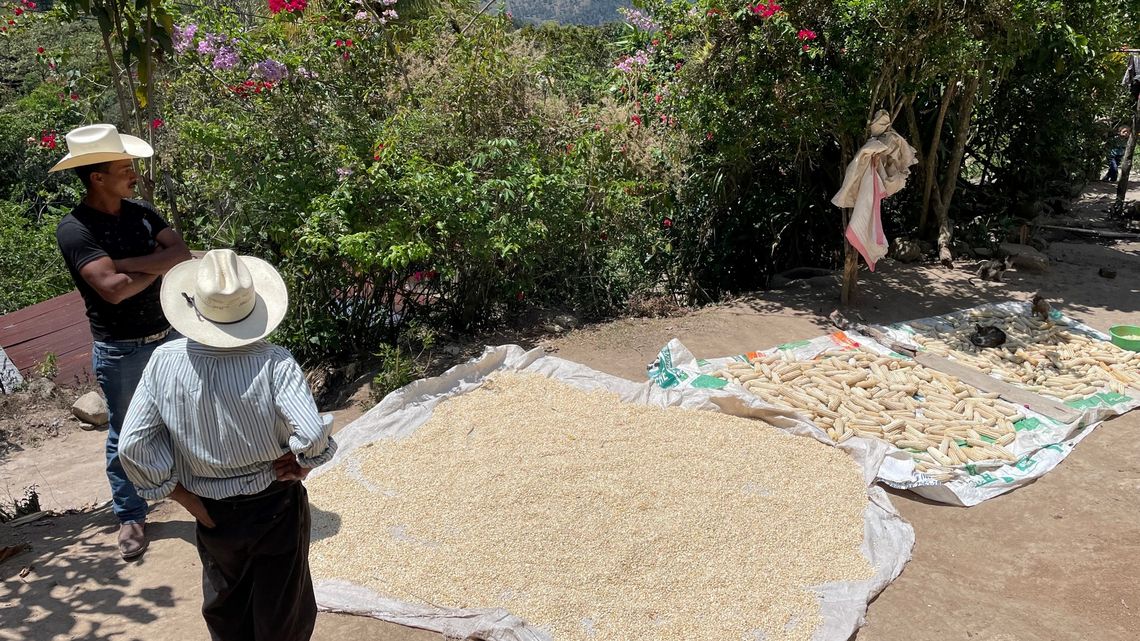 Die Sonne hilft in der Region Copan beim trocknen von Mais und Kaffee