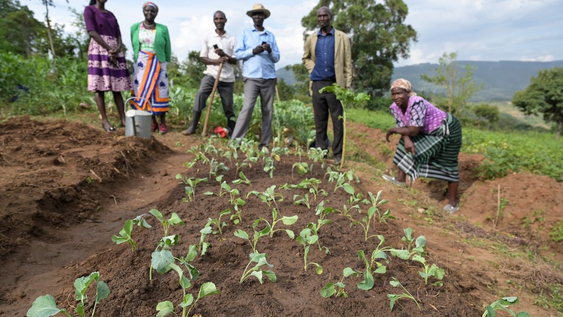 In Kenia lernen Kleinbauern und -bäuerinnen, durch das Anlegen von Terrassen Bodenerosion zu verhindern.