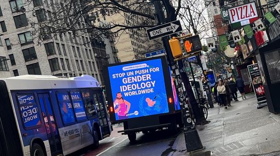 Werbeautos der Anti-Gender-Bewegung