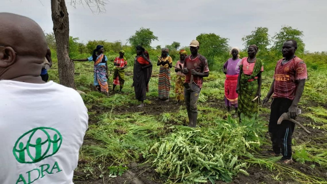 Landwirtschaftsprojekt Sudan