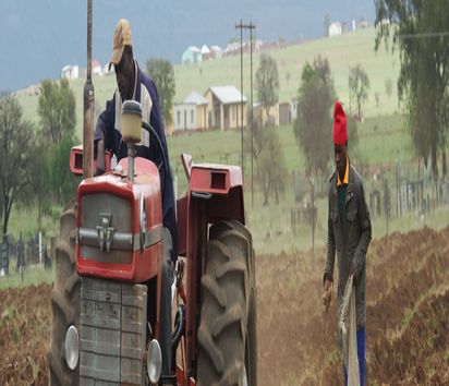Farmer pflügen mit dem Traktor und pflanzen Saatkartoffeln 